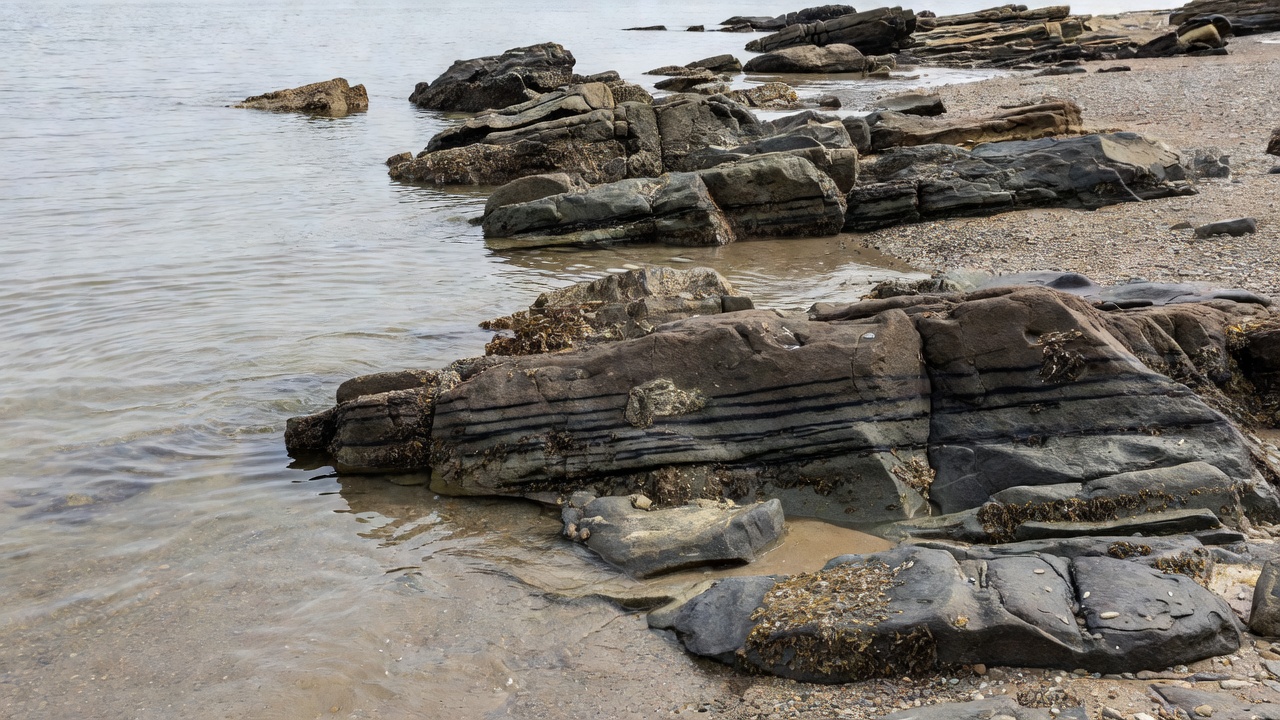 Exposed shoreline rocks and tide marks beside warm-grey shallow water